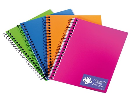 CUADERNO ARGOLLA GDE 105-2 RAYADO 80H